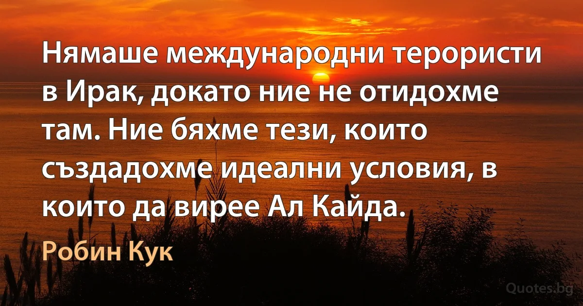 Нямаше международни терористи в Ирак, докато ние не отидохме там. Ние бяхме тези, които създадохме идеални условия, в които да вирее Ал Кайда. (Робин Кук)