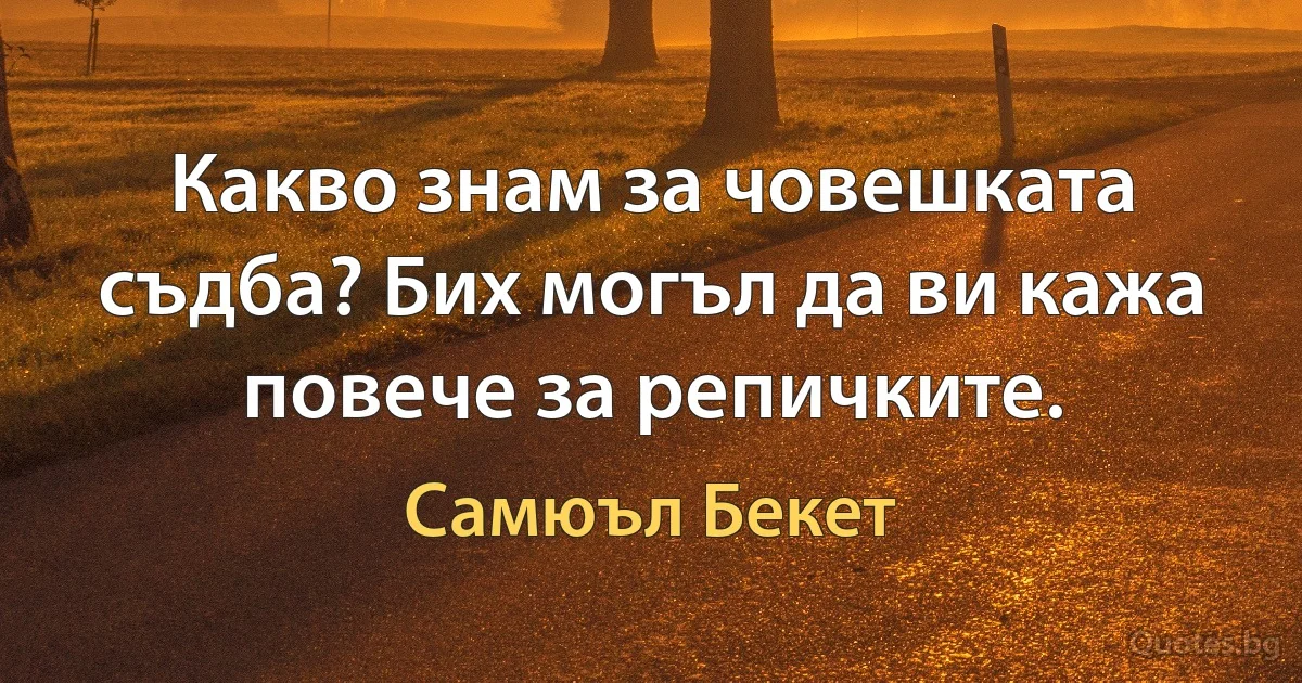 Какво знам за човешката съдба? Бих могъл да ви кажа повече за репичките. (Самюъл Бекет)