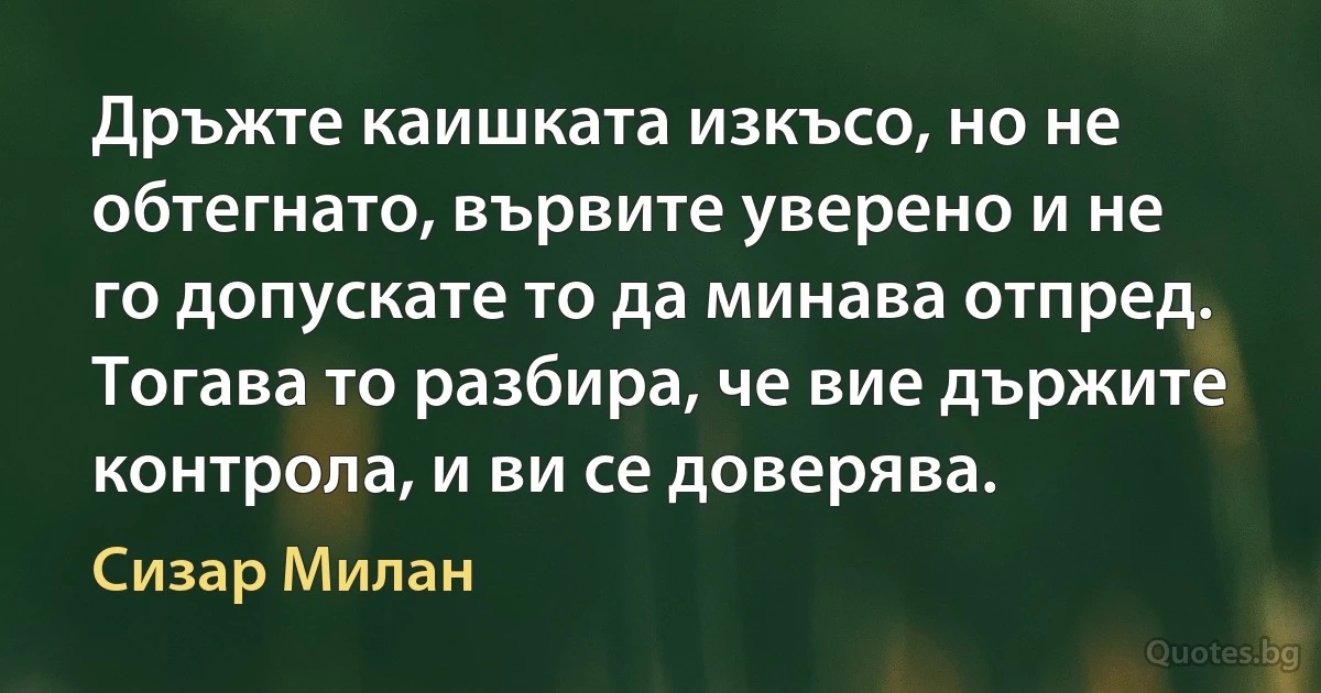 Дръжте каишката изкъсо, но не обтегнато, вървите уверено и не го допускате то да минава отпред. Тогава то разбира, че вие държите контрола, и ви се доверява. (Сизар Милан)