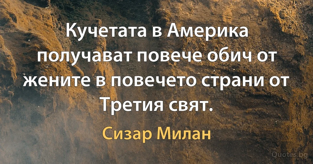 Кучетата в Америка получават повече обич от жените в повечето страни от Третия свят. (Сизар Милан)