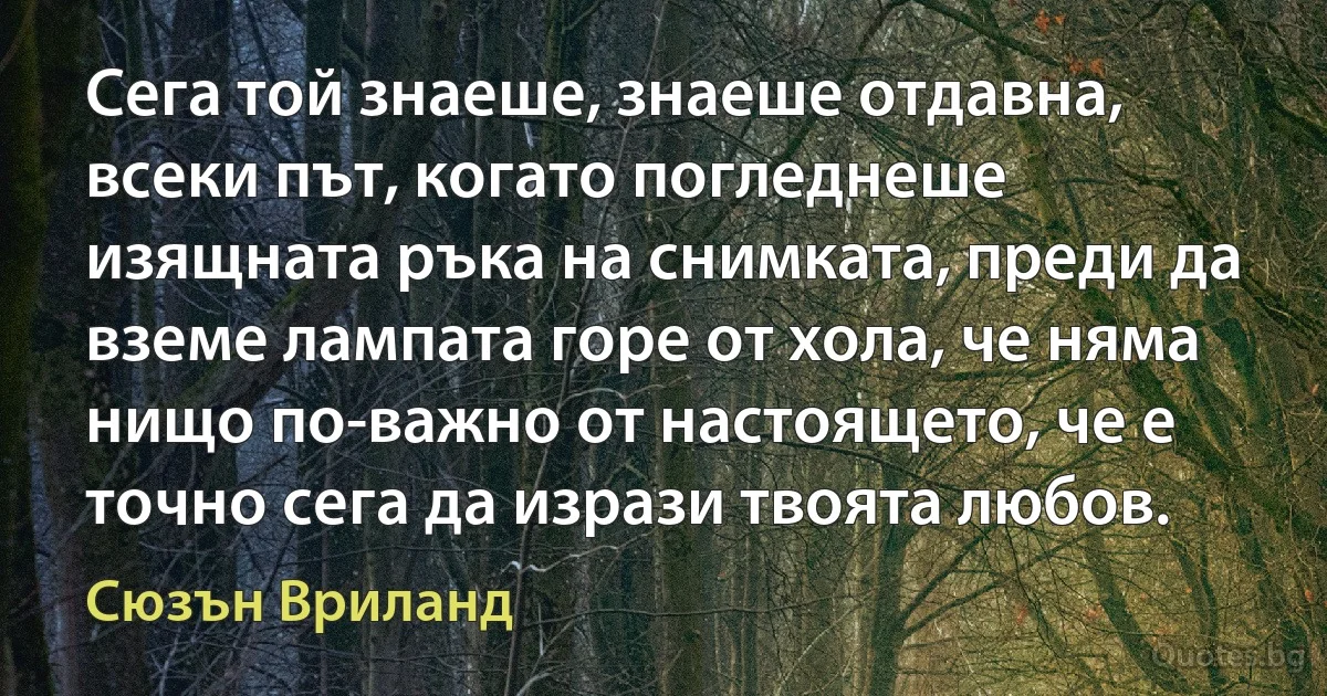 Сега той знаеше, знаеше отдавна, всеки път, когато погледнеше изящната ръка на снимката, преди да вземе лампата горе от хола, че няма нищо по-важно от настоящето, че е точно сега да изрази твоята любов. (Сюзън Вриланд)