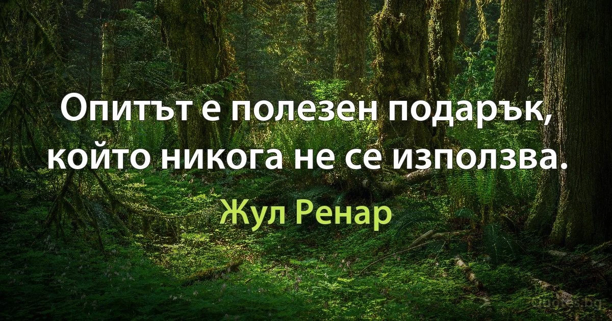 Опитът е полезен подарък, който никога не се използва. (Жул Ренар)