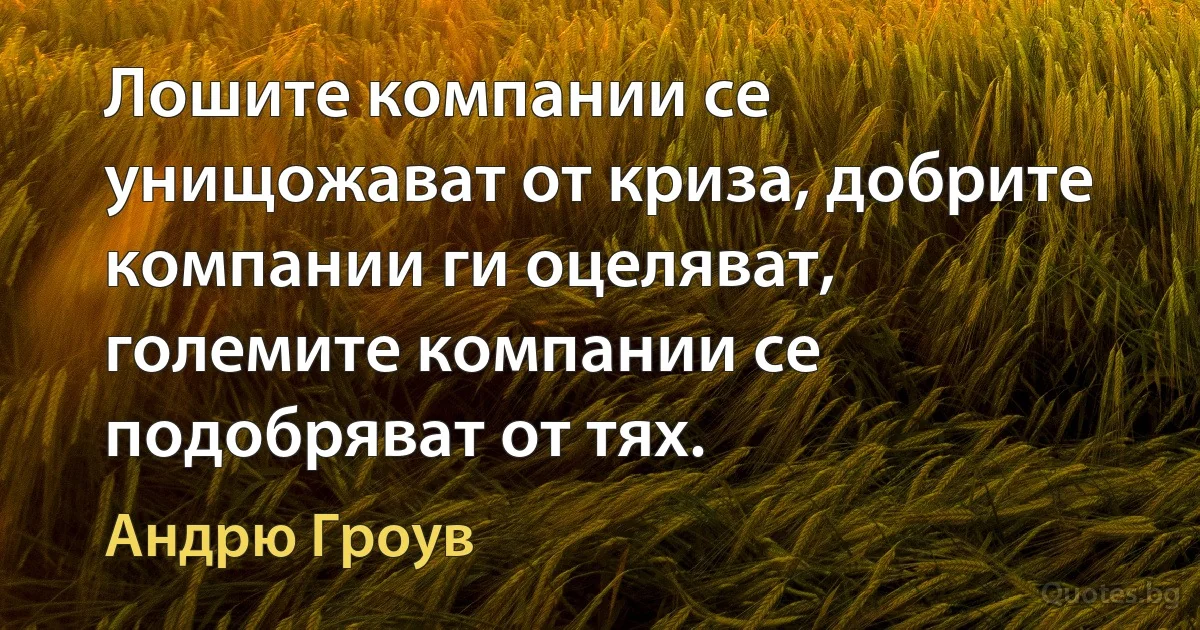 Лошите компании се унищожават от криза, добрите компании ги оцеляват, големите компании се подобряват от тях. (Андрю Гроув)