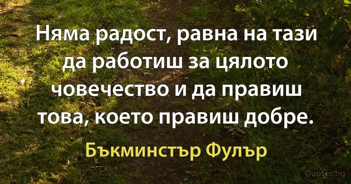 Няма радост, равна на тази да работиш за цялото човечество и да правиш това, което правиш добре. (Бъкминстър Фулър)