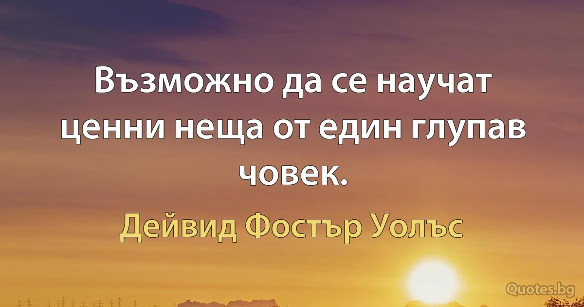 Възможно да се научат ценни неща от един глупав човек. (Дейвид Фостър Уолъс)