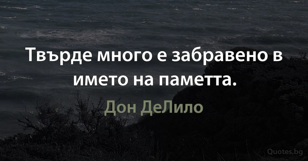 Твърде много е забравено в името на паметта. (Дон ДеЛило)