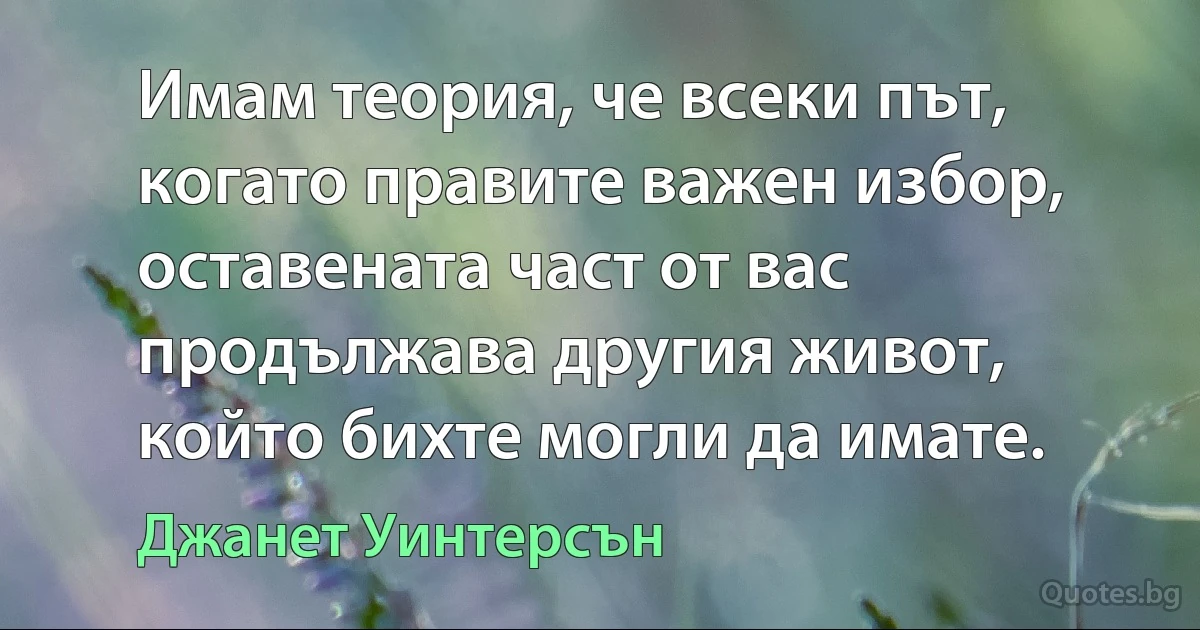 Имам теория, че всеки път, когато правите важен избор, оставената част от вас продължава другия живот, който бихте могли да имате. (Джанет Уинтерсън)