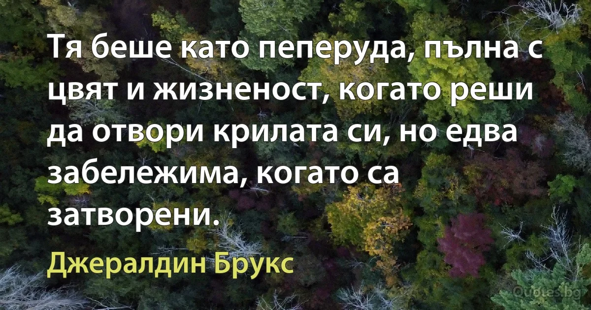 Тя беше като пеперуда, пълна с цвят и жизненост, когато реши да отвори крилата си, но едва забележима, когато са затворени. (Джералдин Брукс)