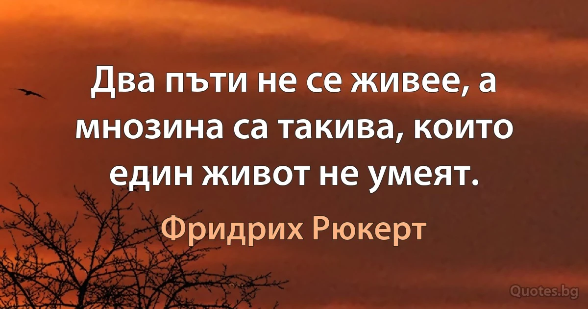 Два пъти не се живее, а мнозина са такива, които един живот не умеят. (Фридрих Рюкерт)