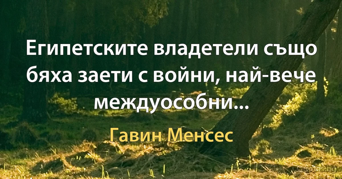 Египетските владетели също бяха заети с войни, най-вече междуособни... (Гавин Менсес)