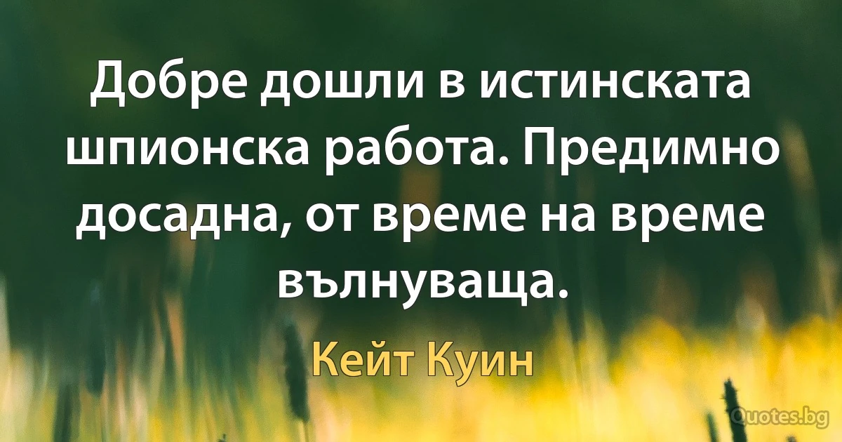 Добре дошли в истинската шпионска работа. Предимно досадна, от време на време вълнуваща. (Кейт Куин)