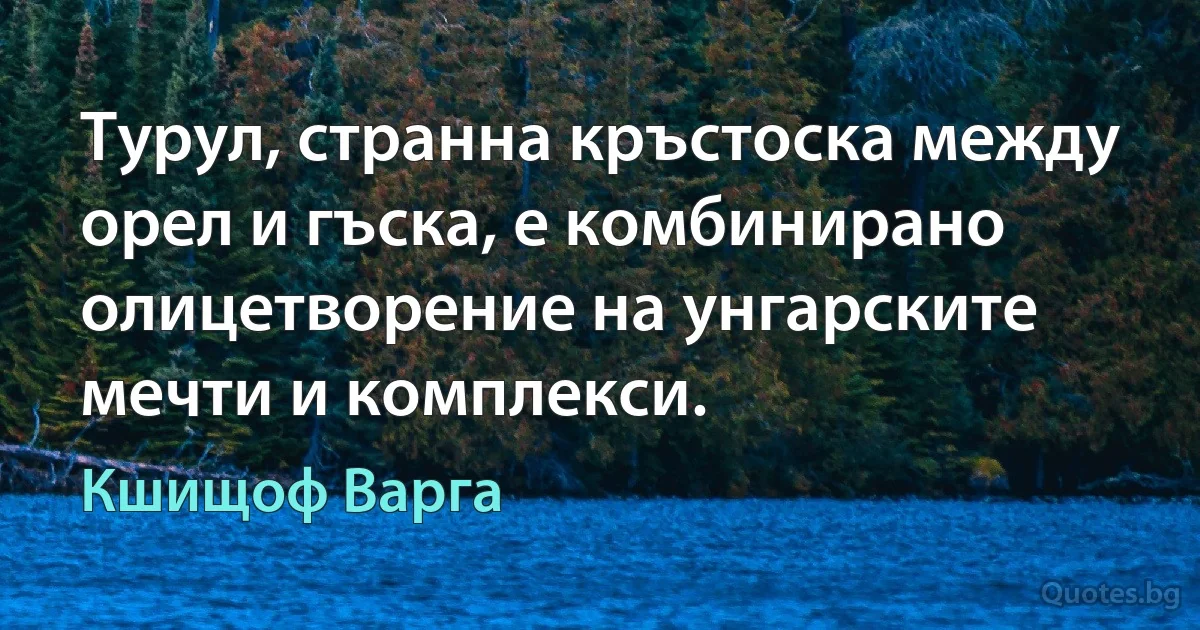 Турул, странна кръстоска между орел и гъска, е комбинирано олицетворение на унгарските мечти и комплекси. (Кшищоф Варга)