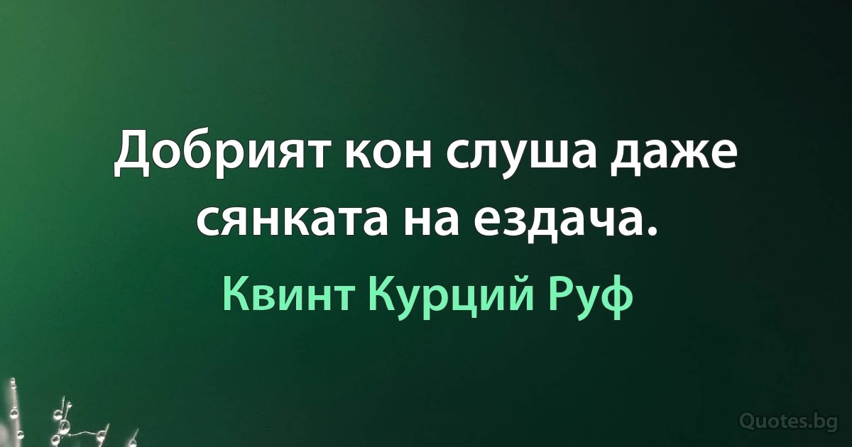 Добрият кон слуша даже сянката на ездача. (Квинт Курций Руф)