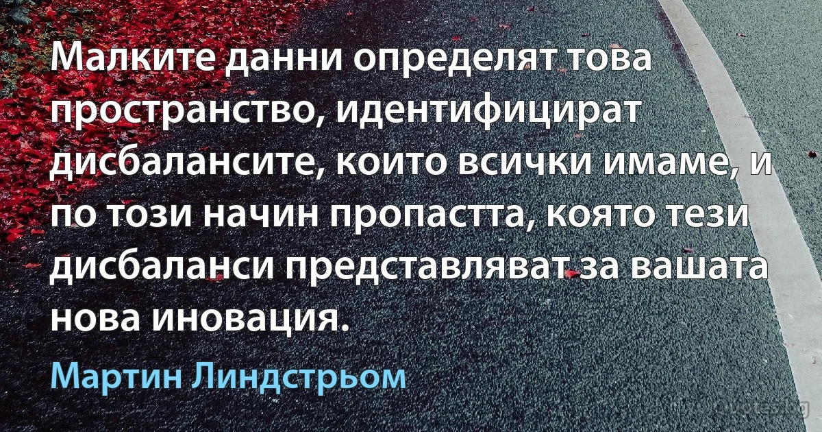 Малките данни определят това пространство, идентифицират дисбалансите, които всички имаме, и по този начин пропастта, която тези дисбаланси представляват за вашата нова иновация. (Мартин Линдстрьом)