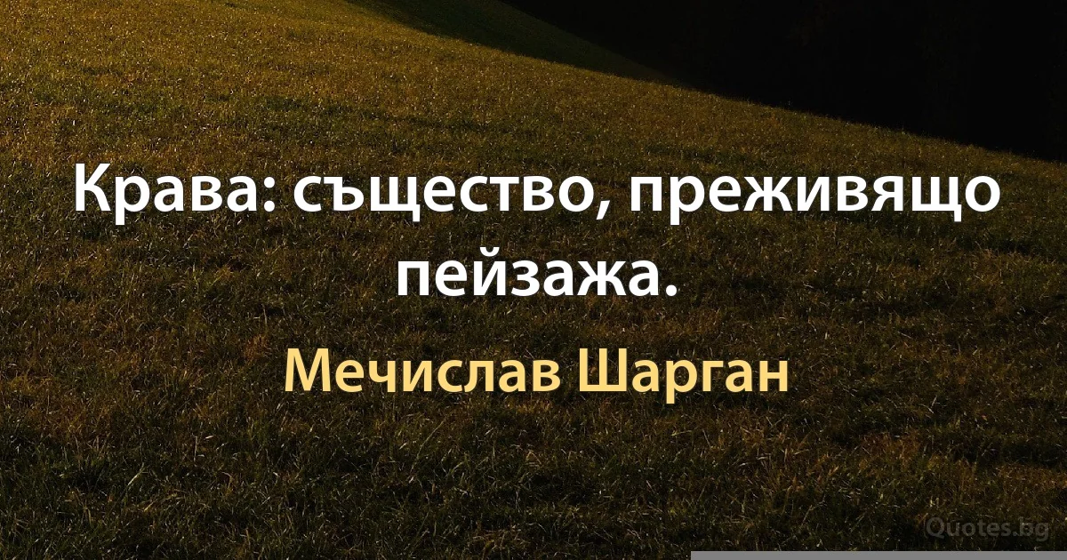 Крава: същество, преживящо пейзажа. (Мечислав Шарган)