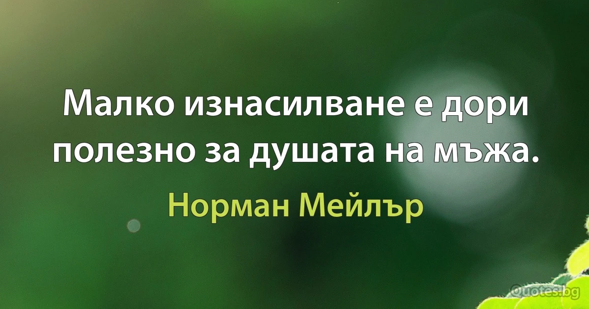 Малко изнасилване е дори полезно за душата на мъжа. (Норман Мейлър)