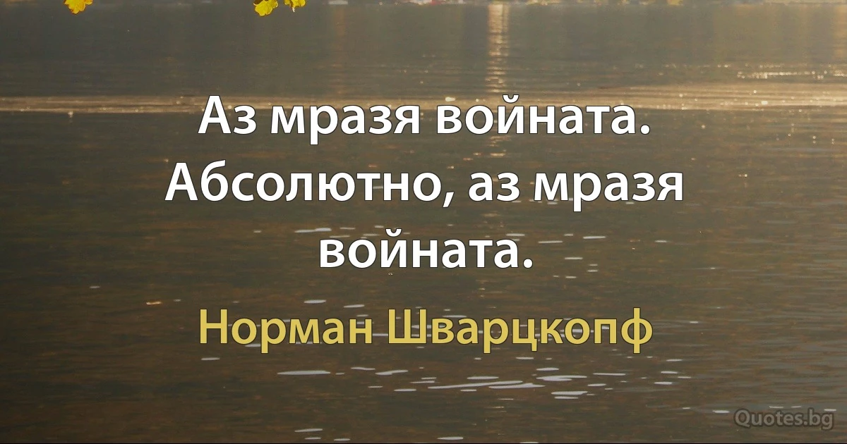 Аз мразя войната. Абсолютно, аз мразя войната. (Норман Шварцкопф)