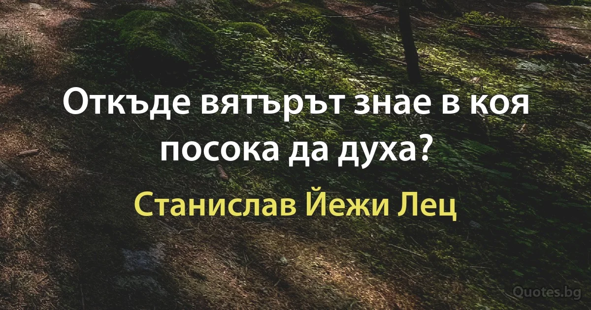 Откъде вятърът знае в коя посока да духа? (Станислав Йежи Лец)