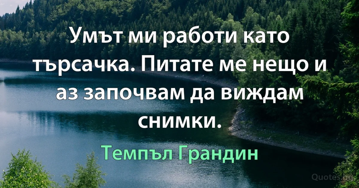 Умът ми работи като търсачка. Питате ме нещо и аз започвам да виждам снимки. (Темпъл Грандин)