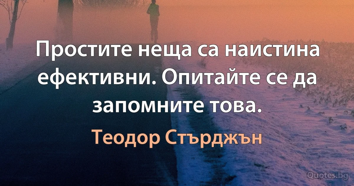 Простите неща са наистина ефективни. Опитайте се да запомните това. (Теодор Стърджън)