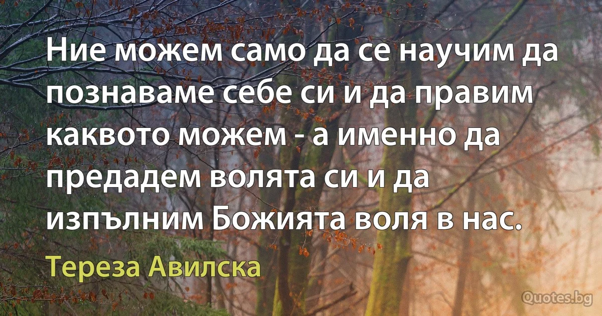 Ние можем само да се научим да познаваме себе си и да правим каквото можем - а именно да предадем волята си и да изпълним Божията воля в нас. (Тереза Авилска)