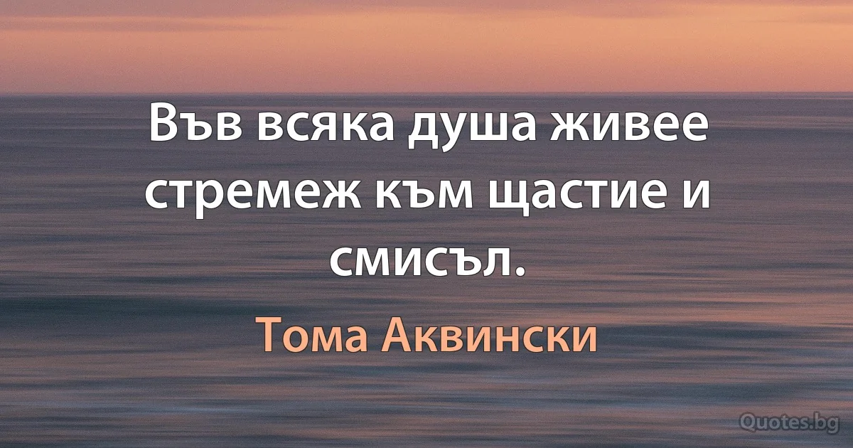 Във всяка душа живее стремеж към щастие и смисъл. (Тома Аквински)