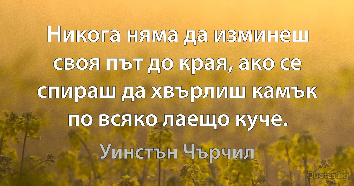 Никога няма да изминеш своя път до края, ако се спираш да хвърлиш камък по всяко лаещо куче. (Уинстън Чърчил)