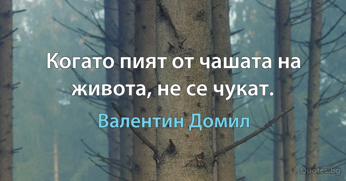 Когато пият от чашата на живота, не се чукат. (Валентин Домил)