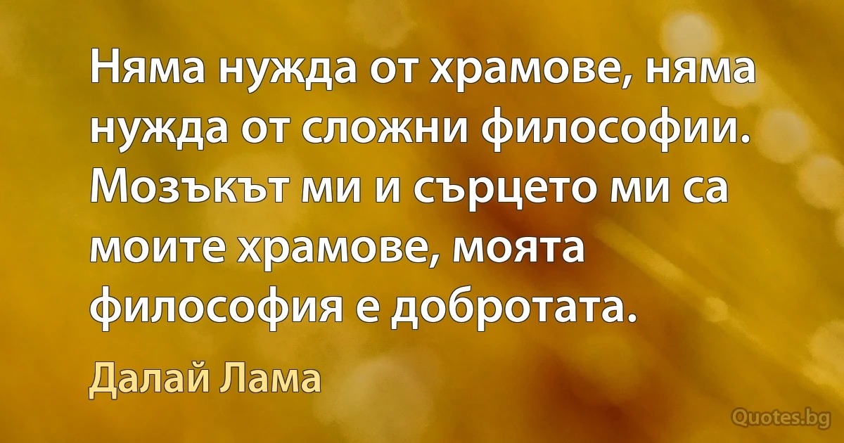 Няма нужда от храмове, няма нужда от сложни философии. Мозъкът ми и сърцето ми са моите храмове, моята философия е добротата. (Далай Лама)