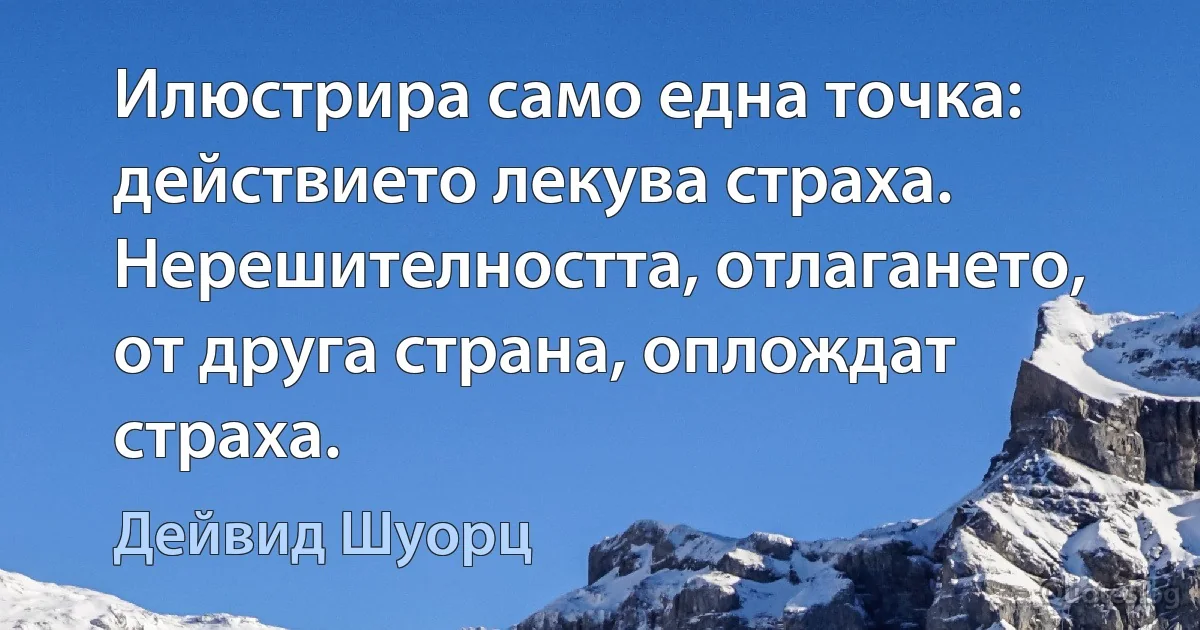 Илюстрира само една точка: действието лекува страха. Нерешителността, отлагането, от друга страна, оплождат страха. (Дейвид Шуорц)