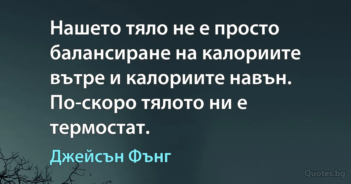 Нашето тяло не е просто балансиране на калориите вътре и калориите навън. По-скоро тялото ни е термостат. (Джейсън Фънг)