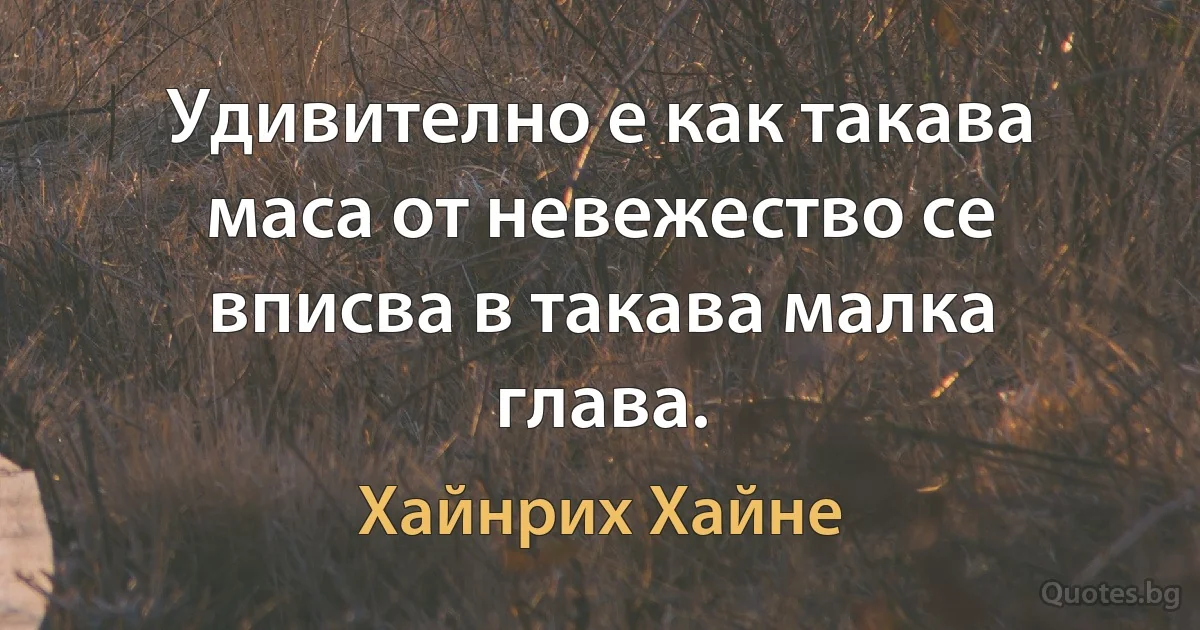 Удивително е как такава маса от невежество се вписва в такава малка глава. (Хайнрих Хайне)