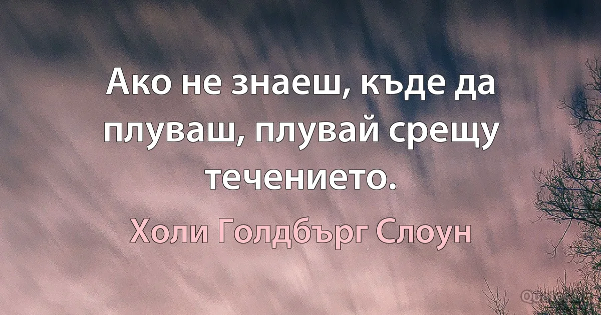 Ако не знаеш, къде да плуваш, плувай срещу течението. (Холи Голдбърг Слоун)