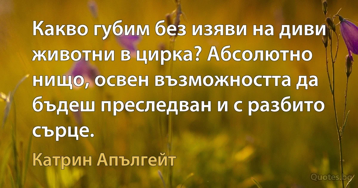 Какво губим без изяви на диви животни в цирка? Абсолютно нищо, освен възможността да бъдеш преследван и с разбито сърце. (Катрин Апългейт)