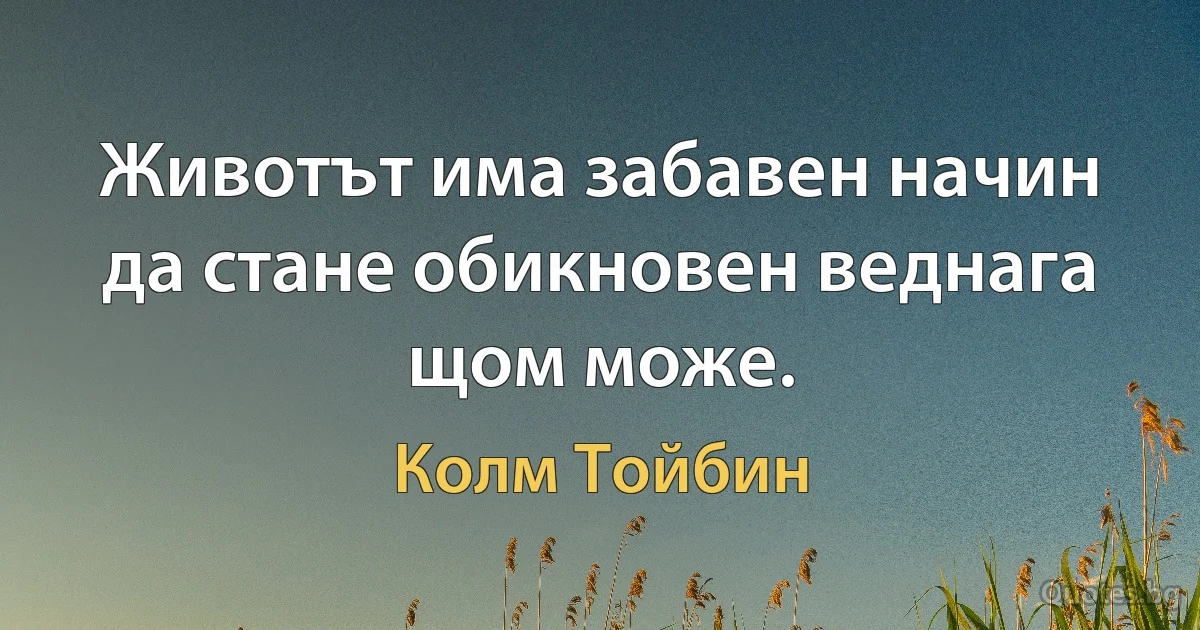 Животът има забавен начин да стане обикновен веднага щом може. (Колм Тойбин)