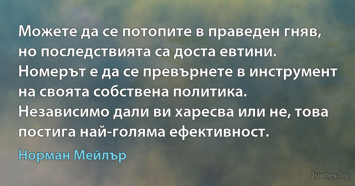 Можете да се потопите в праведен гняв, но последствията са доста евтини. Номерът е да се превърнете в инструмент на своята собствена политика. Независимо дали ви харесва или не, това постига най-голяма ефективност. (Норман Мейлър)