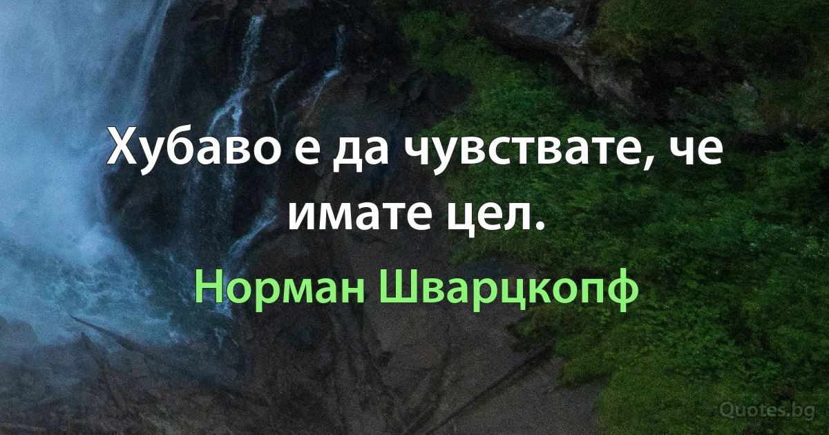 Хубаво е да чувствате, че имате цел. (Норман Шварцкопф)