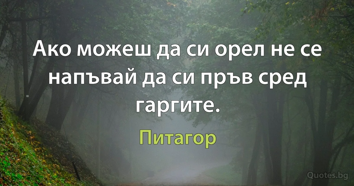 Ако можеш да си орел не се напъвай да си пръв сред гаргите. (Питагор)