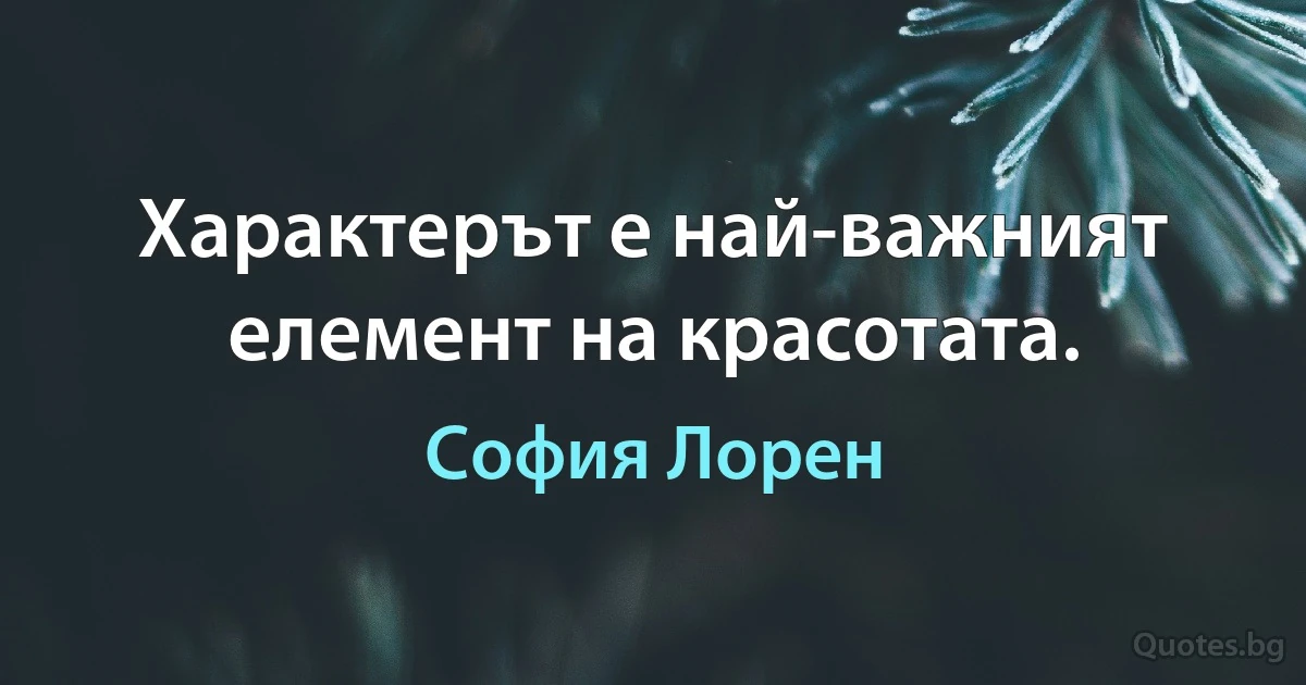 Характерът е най-важният елемент на красотата. (София Лорен)