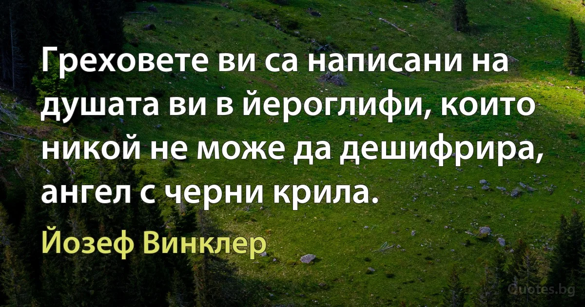 Греховете ви са написани на душата ви в йероглифи, които никой не може да дешифрира, ангел с черни крила. (Йозеф Винклер)