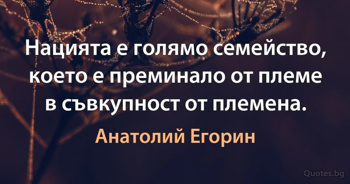 Нацията е голямо семейство, което е преминало от племе в съвкупност от племена. (Анатолий Егорин)