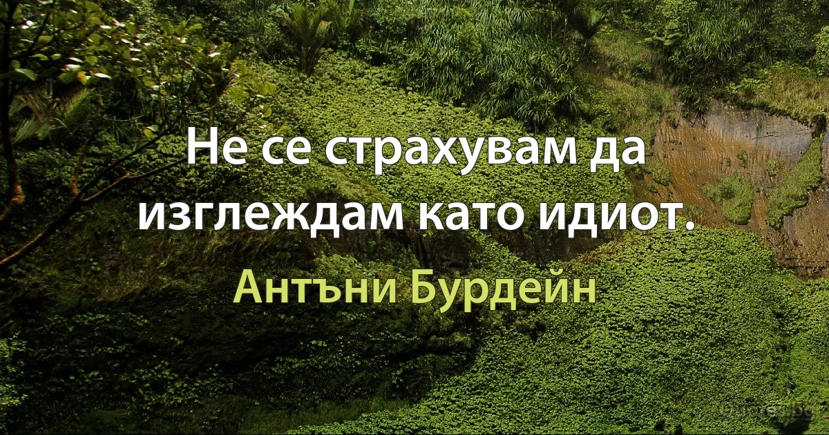 Не се страхувам да изглеждам като идиот. (Антъни Бурдейн)