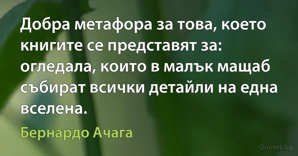 Добра метафора за това, което книгите се представят за: огледала, които в малък мащаб събират всички детайли на една вселена. (Бернардо Ачага)