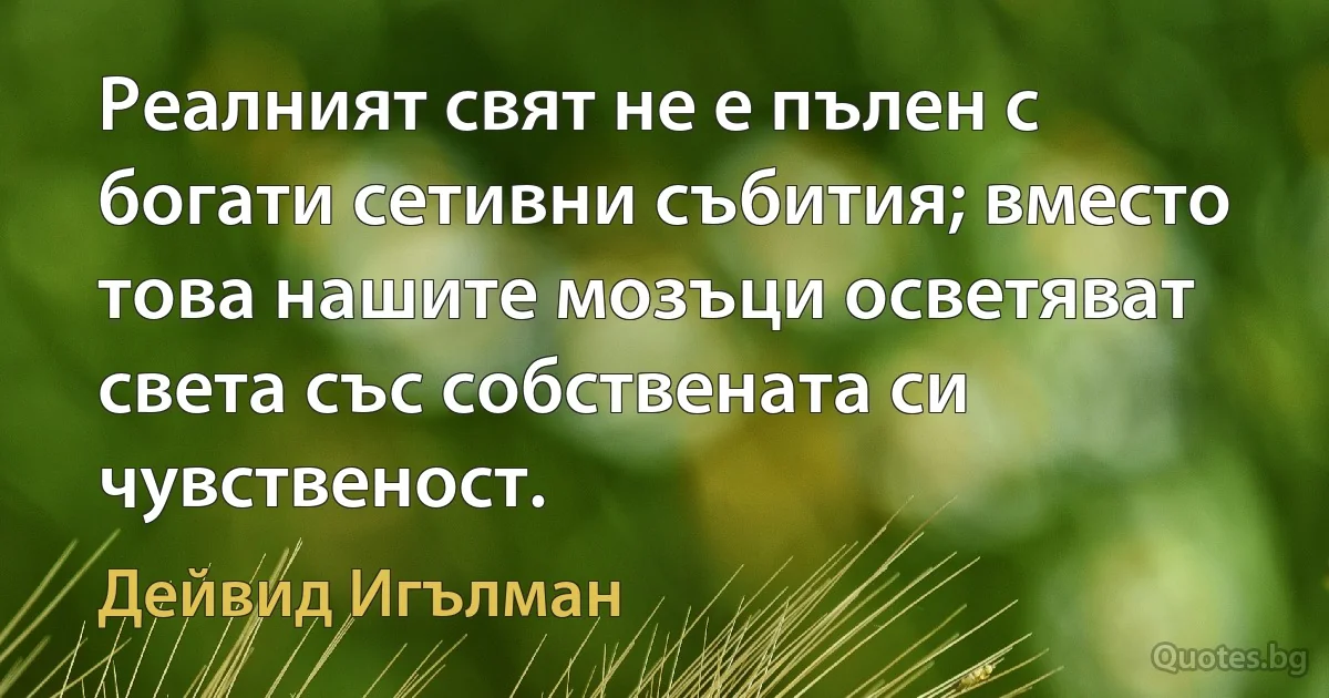 Реалният свят не е пълен с богати сетивни събития; вместо това нашите мозъци осветяват света със собствената си чувственост. (Дейвид Игълман)