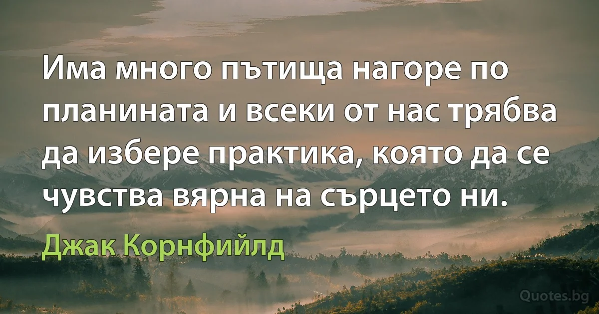 Има много пътища нагоре по планината и всеки от нас трябва да избере практика, която да се чувства вярна на сърцето ни. (Джак Корнфийлд)