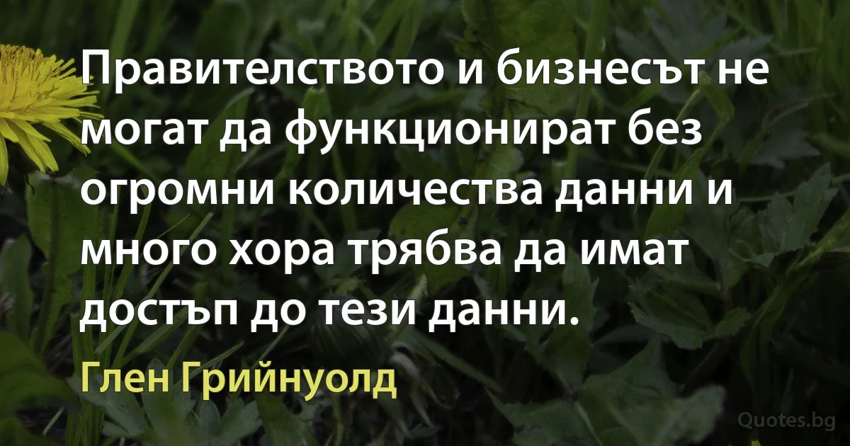 Правителството и бизнесът не могат да функционират без огромни количества данни и много хора трябва да имат достъп до тези данни. (Глен Грийнуолд)