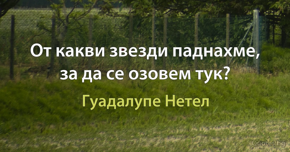 От какви звезди паднахме, за да се озовем тук? (Гуадалупе Нетел)