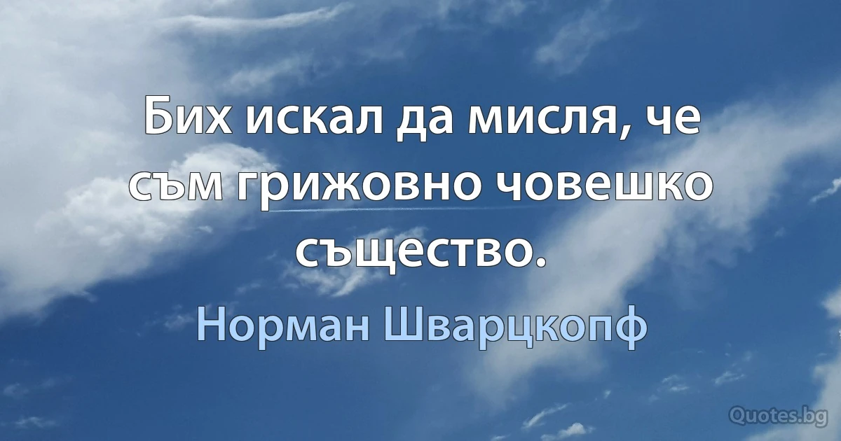 Бих искал да мисля, че съм грижовно човешко същество. (Норман Шварцкопф)