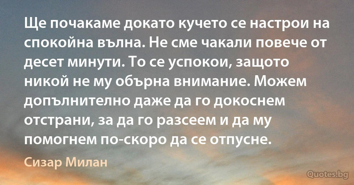 Ще почакаме докато кучето се настрои на спокойна вълна. Не сме чакали повече от десет минути. То се успокои, защото никой не му обърна внимание. Можем допълнително даже да го докоснем отстрани, за да го разсеем и да му помогнем по-скоро да се отпусне. (Сизар Милан)