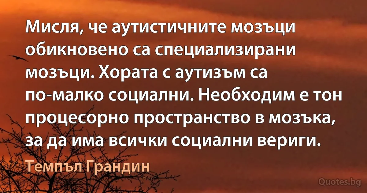 Мисля, че аутистичните мозъци обикновено са специализирани мозъци. Хората с аутизъм са по-малко социални. Необходим е тон процесорно пространство в мозъка, за да има всички социални вериги. (Темпъл Грандин)